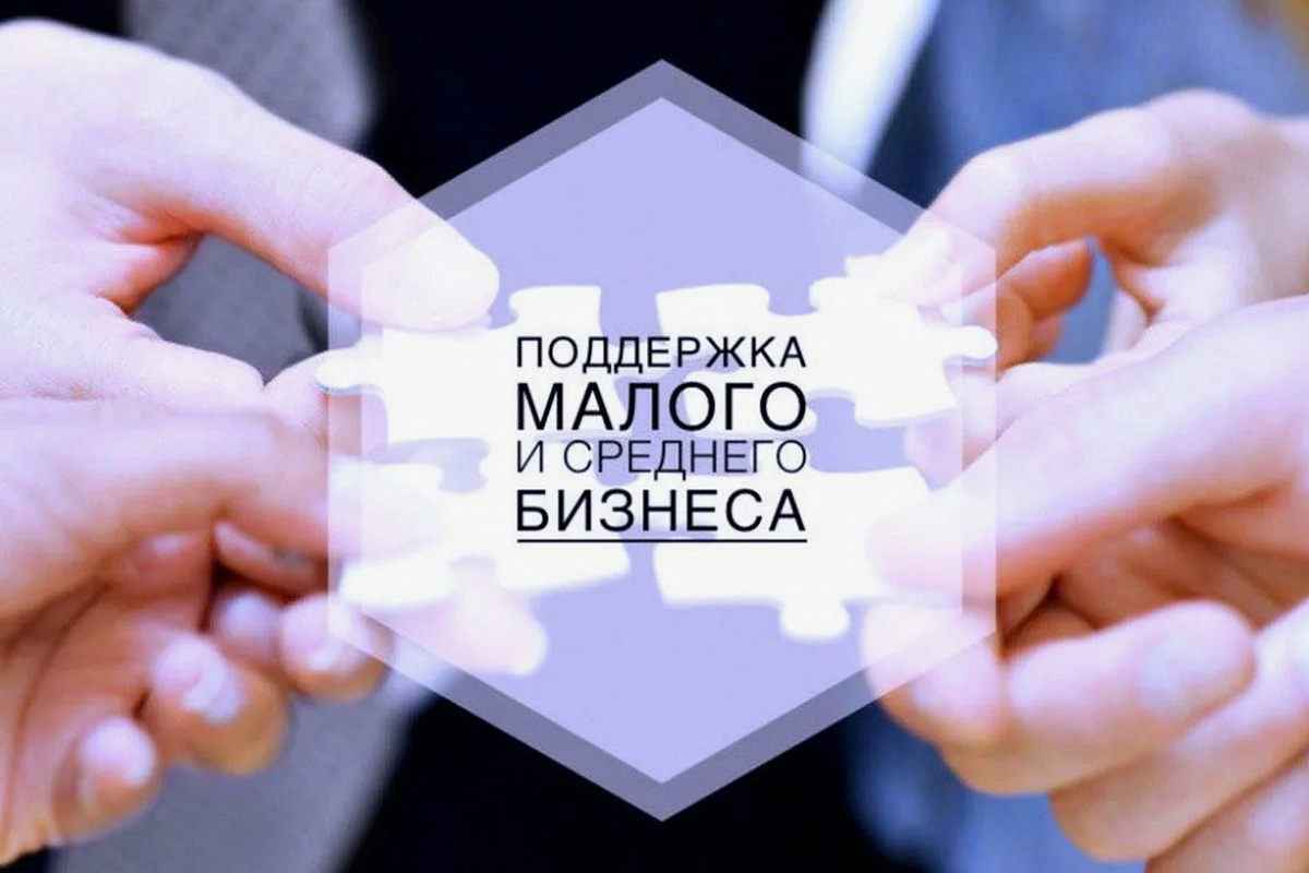 Справочная информацию о мерах государственной поддержки субъектов малого и среднего бизнеса в Саратовской области за 2025 год.
