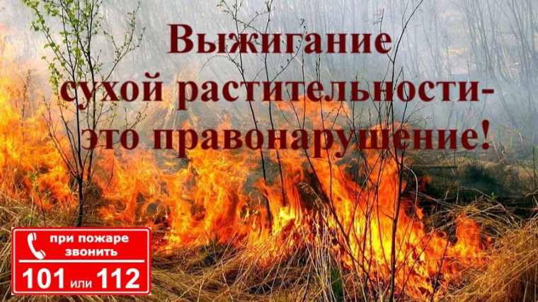 Выжигание сухой растительности - это правонарушение. Выжигание сухой растительности - это правонарушение.