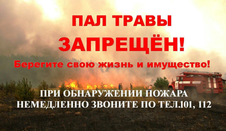 Травяной пал – это настоящее стихийное бедствие. Травяной пал – это настоящее стихийное бедствие.