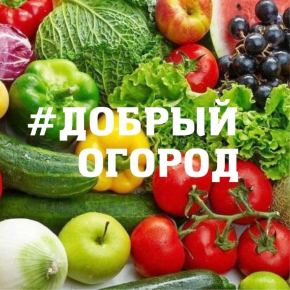 #ДОБРЫЙ ОГОРОД-2023: сезон открыт. #ДОБРЫЙ ОГОРОД-2023: сезон открыт.