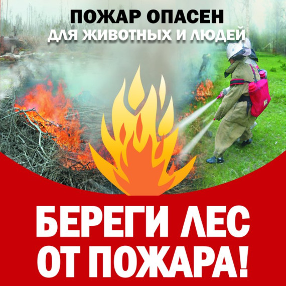 Порядок использования открытого огня на землях сельскохозяйственного назначения, в лесных массивах и на территории личных подсобных хозяйств. Порядок использования открытого огня на землях сельскохозяйственного назначения, в лесных массивах и на территории личных подсобных хозяйств.