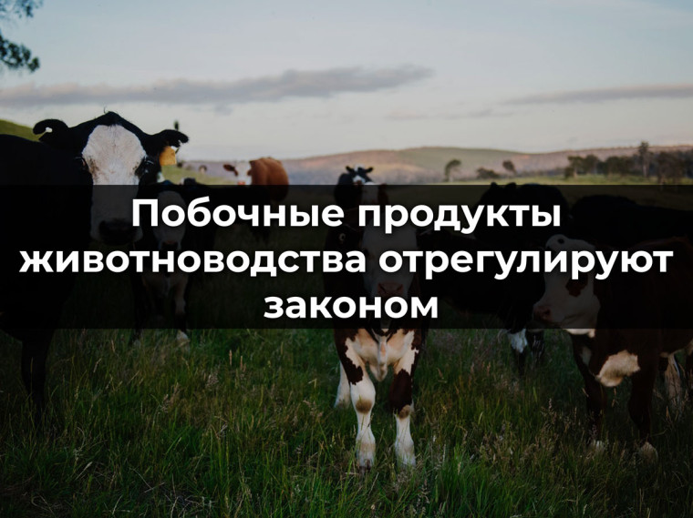 Вниманию производителей сельскохозяйственной продукции. Вниманию производителей сельскохозяйственной продукции.
