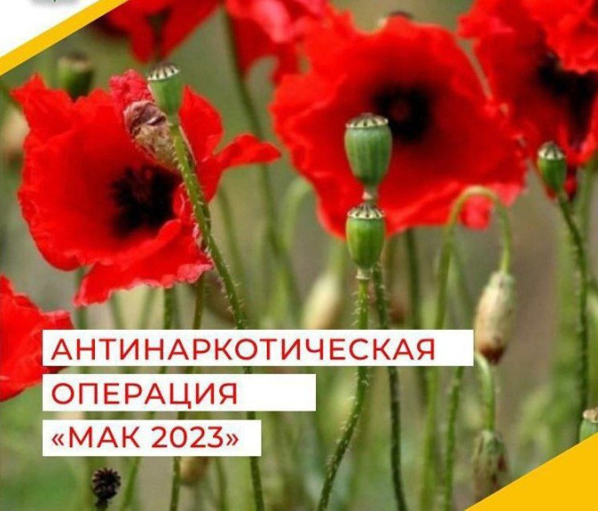С 7 по 16 августа 2023 года на территории Ртищевского района проходит второй этап межведомственной комплексной оперативно-профилактической операции «Мак – 2023». С 7 по 16 августа 2023 года на территории Ртищевского района проходит второй этап межведомственной комплексной оперативно-профилактической операции «Мак – 2023».