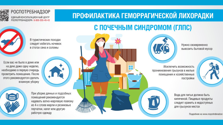 О профилактике геморрагической лихорадки с почечным синдромом. О профилактике геморрагической лихорадки с почечным синдромом.
