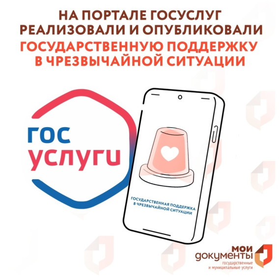 "Государственная поддержка в чрезвычайной ситуации". "Государственная поддержка в чрезвычайной ситуации".