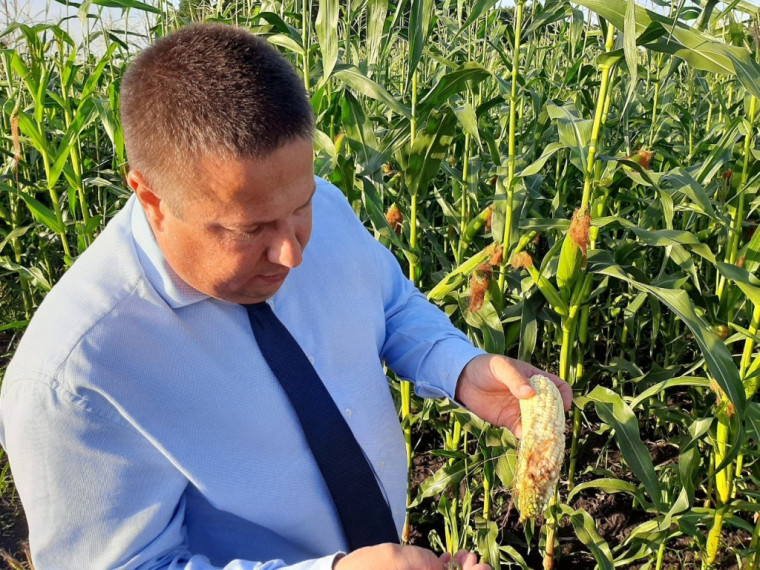 С рабочим визитом Ртищевский район посетил заместитель Председателя Правительства, министр сельского хозяйства области Роман Ковальский.